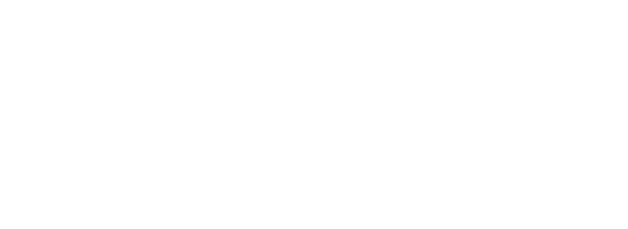 logo-zoom-blanco